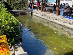 -京北渔家傲