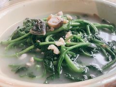 上汤西洋菜-区海鸡场饭店(石壁店)