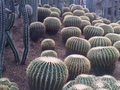 -南山植物园