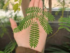 -国家植物园南园