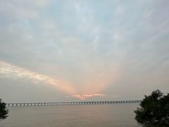 -宝安西湾红树林湿地公园