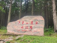 -芦芽山旅游度假区