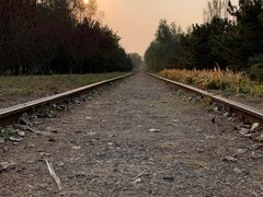 -永定河休闲森林公园