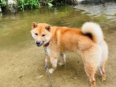 -北京水岸山吧度假村(雁栖镇店)
