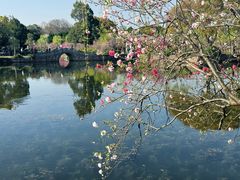 -无锡蠡湖国家湿地公园-蠡园