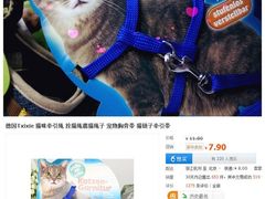 -北京观赏动物医院·24小时大型综合·猫专科·异宠专科