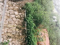 -佛山华盖山公园