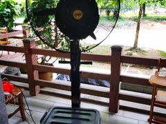 -兴隆槟榔园休闲农庄