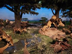 -国家自然博物馆