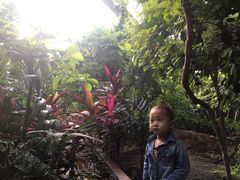 -呀路古热带植物园