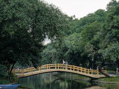 -晓港公园