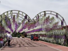 -云漫湖生态度假公园