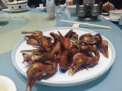雷州烤乳鸽-赛仑吉地大酒店-中餐厅