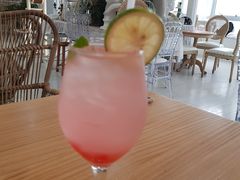 -共舞时光猫咖·狗咖(新街口店)