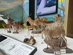 -陕西自然博物馆