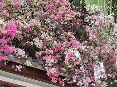 -深圳国际园林花卉博览园