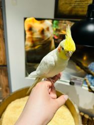 -Zoolung Zoolung动物主题公园(海信广场店)