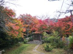 -常寂光寺