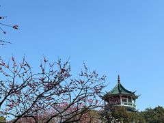 -无锡梅园公园