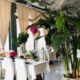 在长沙…又给我发现了一个约会圣地૮・ᴥ - ა