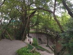 -乌山风景区