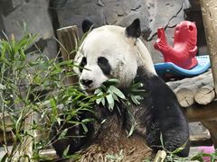 -栾川竹海野生动物园