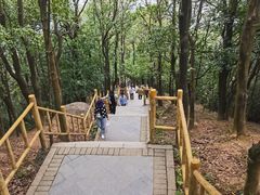 -阳台山森林公园
