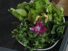 蔬菜拼盘-川西坝子(老军营店)