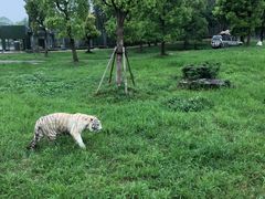 -上海野生动物园