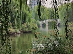 -济南大明湖景区