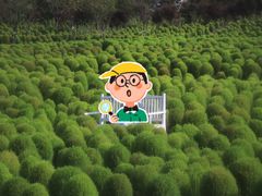 -花开海上生态园