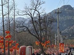 -北京凤凰岭