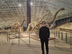 -世界恐龙谷景区