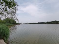 -塘沽森林公园