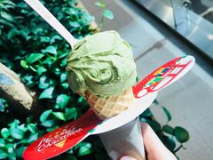 -野人先生现做冰淇淋(西安赛格店)