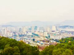 -金鸡山公园