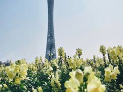 -海心沙亚运公园