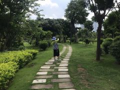 -南宁南湖公园