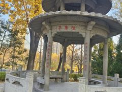 -玲珑塔公园