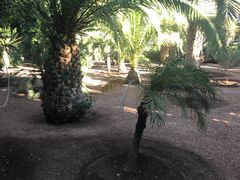-马洛雷勒花园