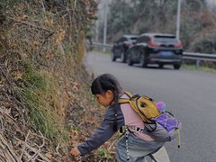 -青龙山国家森林公园