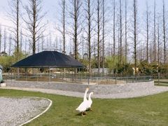 -前小桔亲子创意农场·草莓采摘·露营烧烤