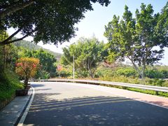 -仙岳公园