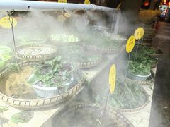 -昆虫窝子·特色云南菜(拓东路总店)
