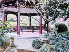 -杭州黄龙洞