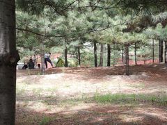 -森林公园(尖草坪区)