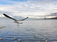 -青海湖二郎剑景区