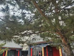 -长安寺