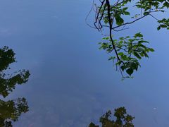 -重庆彩云湖湿地公园