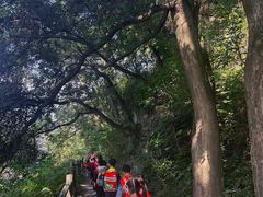 -宾果蒙特梭利托育儿童之家幼儿园(爱琴海店)